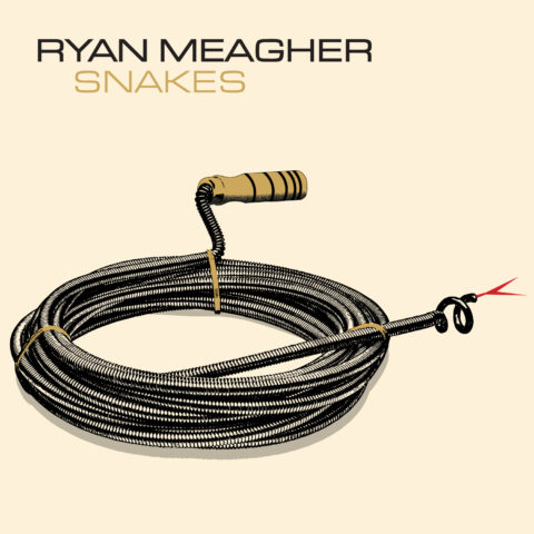 Snakes album cover